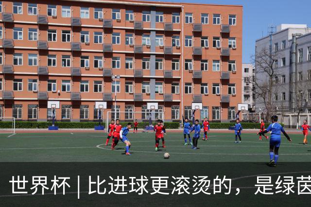 世界杯 | 比进球更滚烫的，是绿茵场上的爱