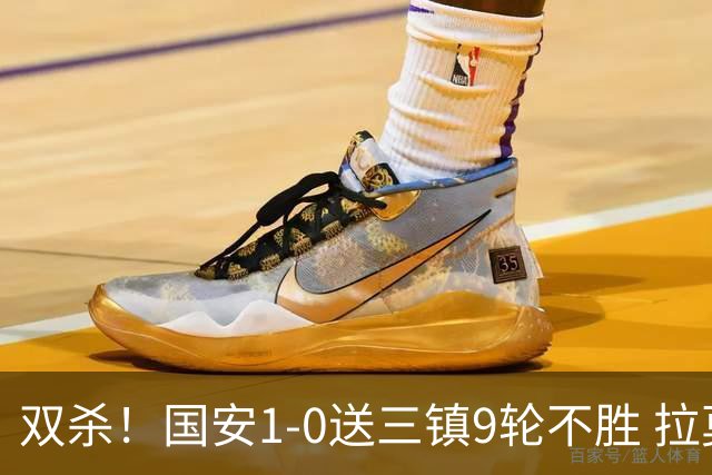 双杀！国安1-0送三镇9轮不胜 拉莫斯头槌制胜张稀哲疑似重伤伤退