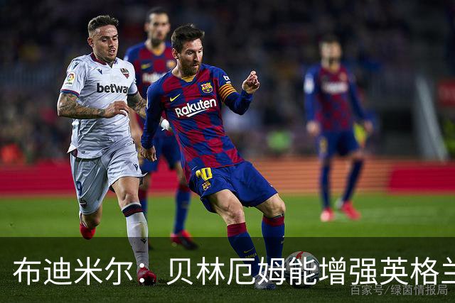 布迪米尔：贝林厄姆能增强英格兰实力 拉什福德总有关键表现